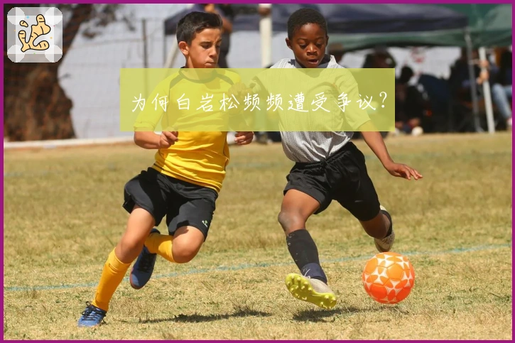 为何白岩松频频遭受争议？