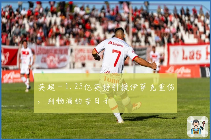 英超 - 1.25亿英镑引援伊萨克重伤，利物浦的苦日子