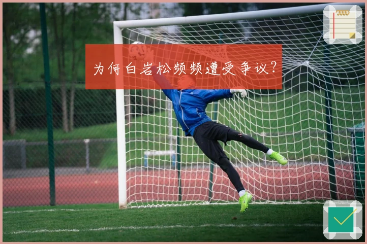 为何白岩松频频遭受争议？